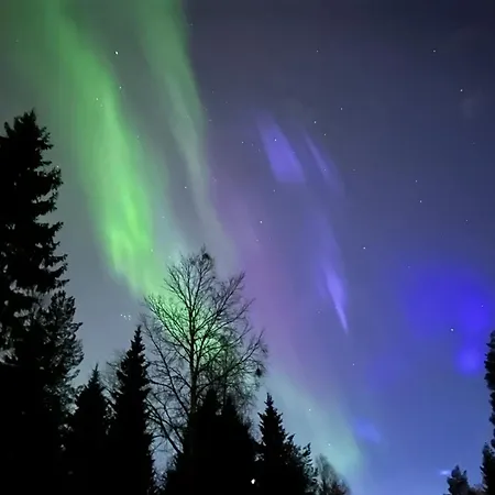 Kuosto Ja Luppo Äkäslompolo