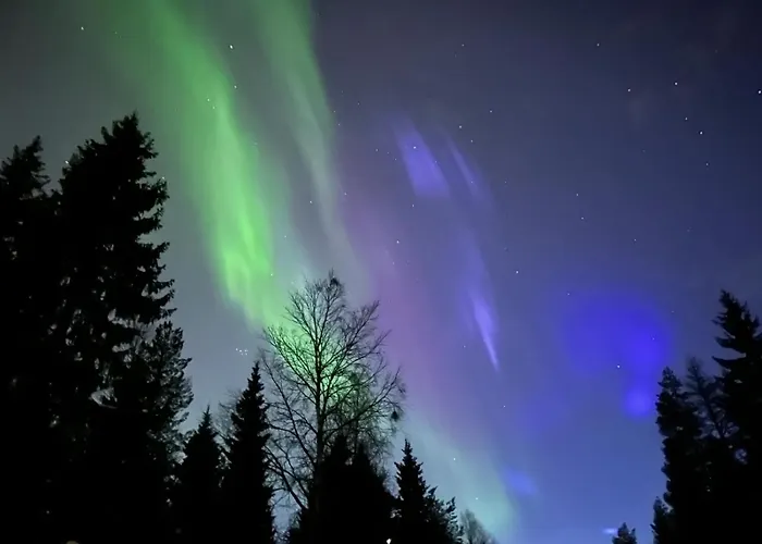 Kuosto Ja Luppo Äkäslompolo